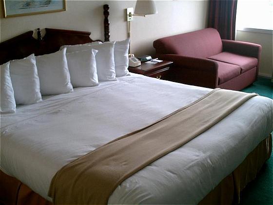 Econo Lodge Inn & Suites Triadelphia - Wheeling Oda fotoğraf